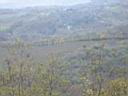 View from Church of St Joseph overlook 7.jpg